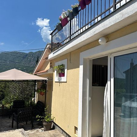 Etno Village Mihailovic 赫尔采格诺维 外观 照片
