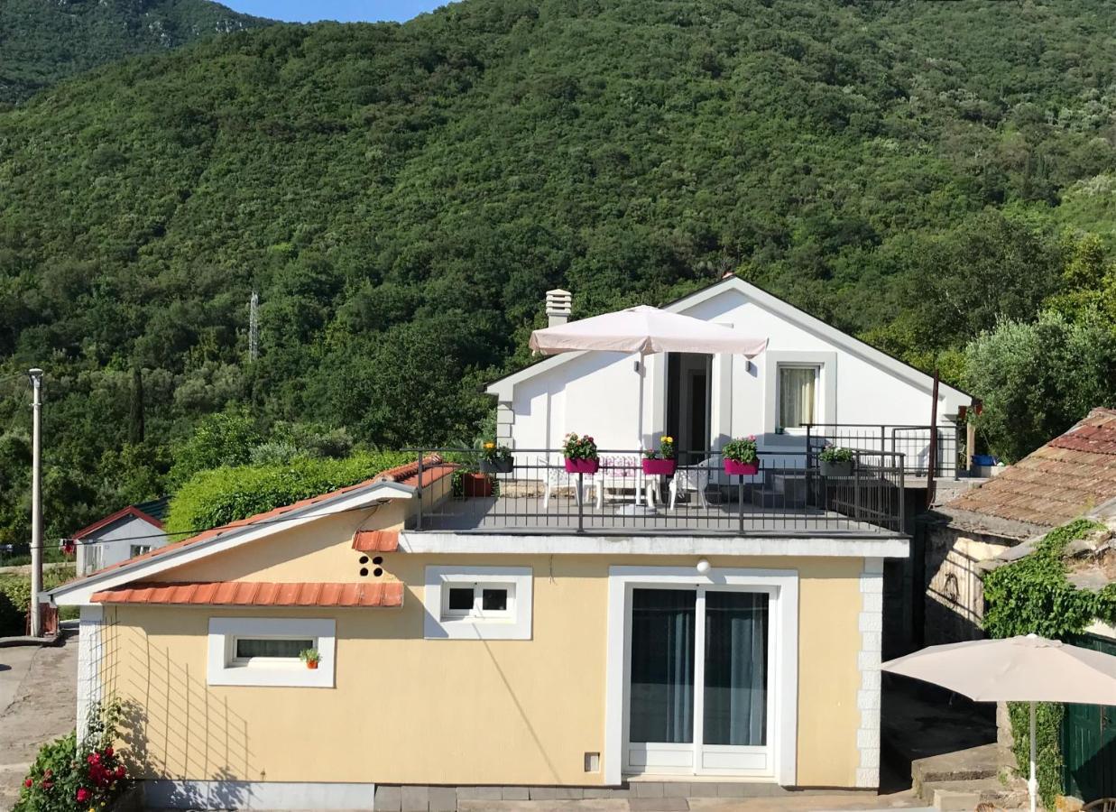Etno Village Mihailovic 赫尔采格诺维 外观 照片