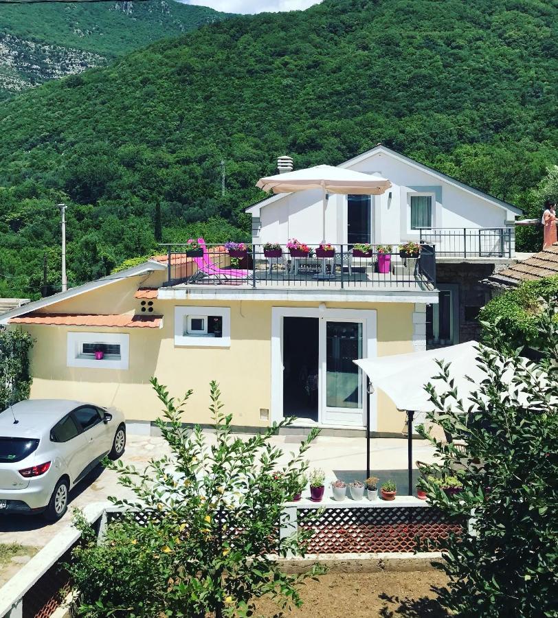 Etno Village Mihailovic 赫尔采格诺维 外观 照片