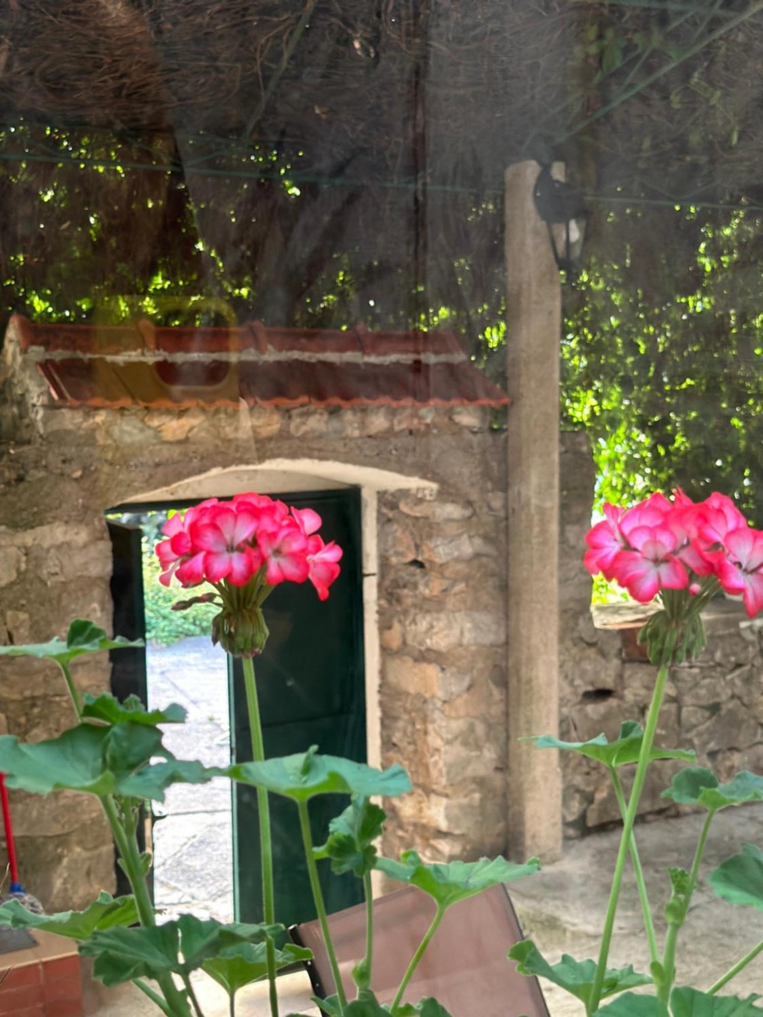 Etno Village Mihailovic 赫尔采格诺维 外观 照片
